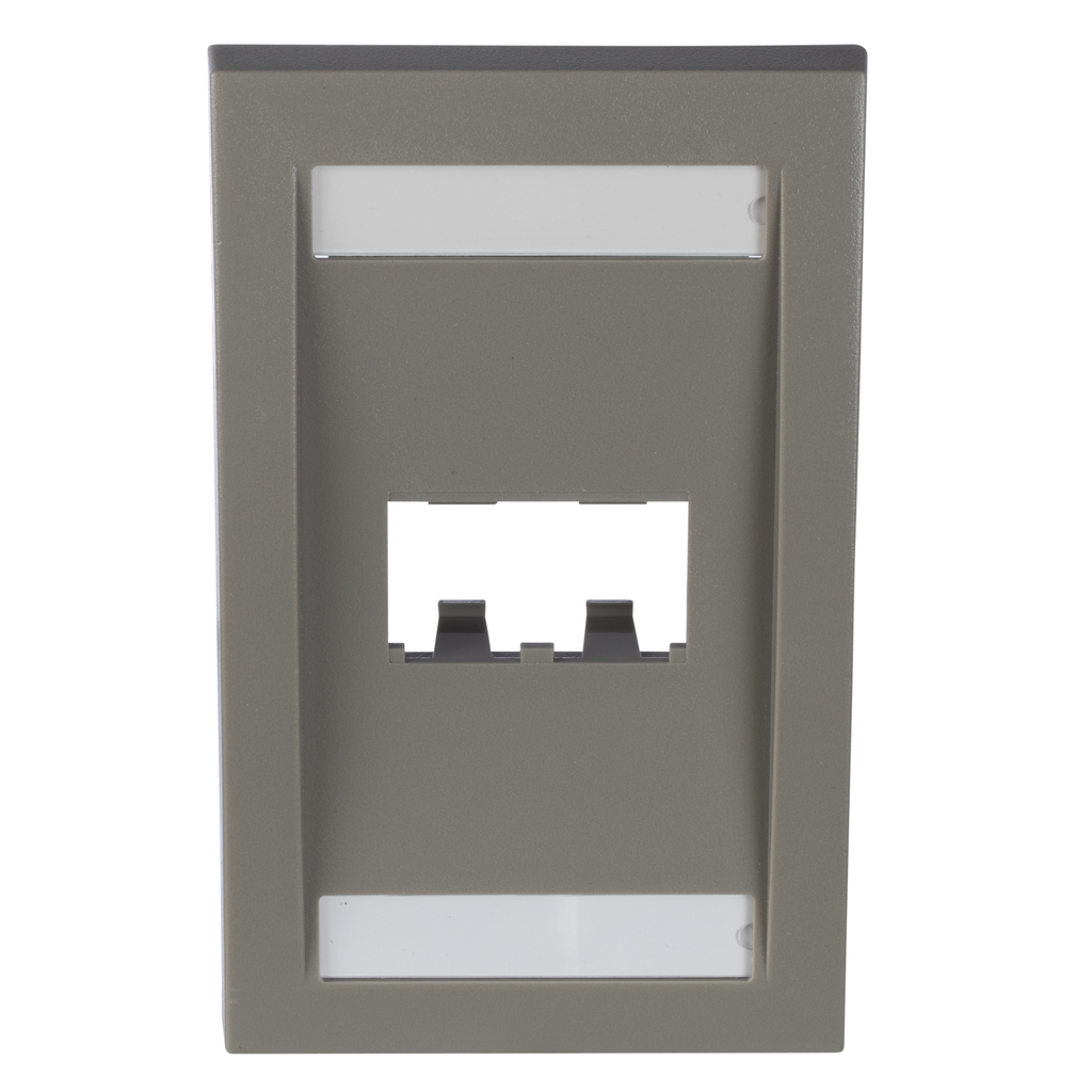 Face plate gris de 2 ptos Mini-Com
